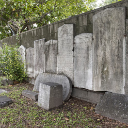 DaCosta Cemetery, 2016